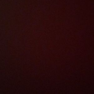 Meet your Posher, Elvis